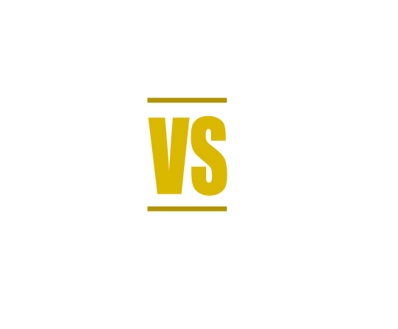 Fury VS Usyk
